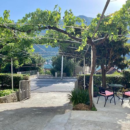 Apartments Nik 코토르 외부 사진